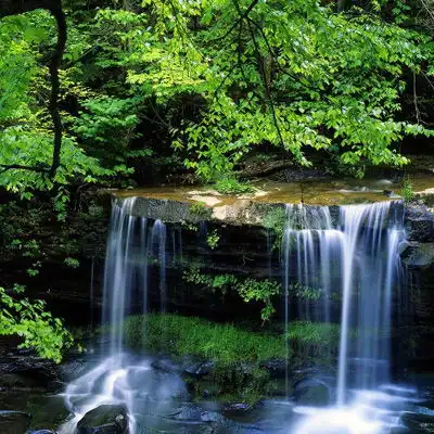 4生肖在接下来的7天鸿运当头,财运大顺,大赚特赚,过上好日子
