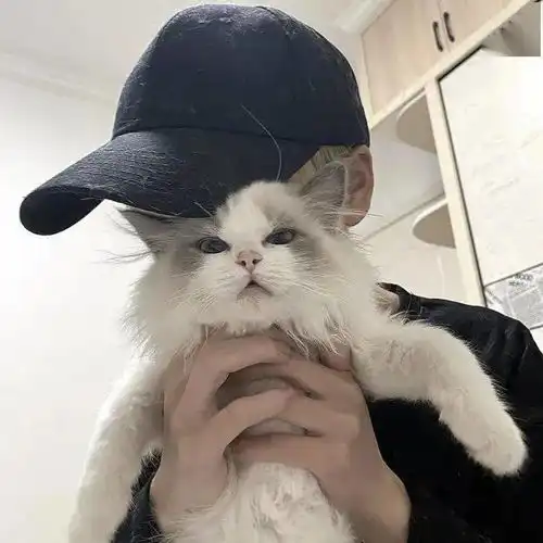 热门今日热门头像
