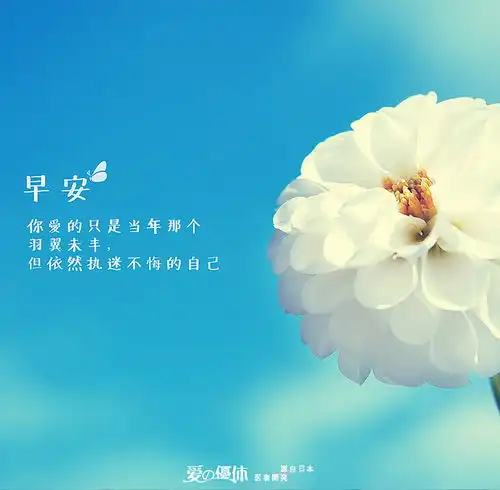 20170704爱优体早安心语
