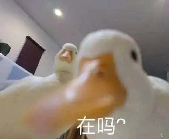 今日份欢乐沙雕表情包
