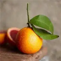 会带来好运的微信头像个性微信头像图片大全
