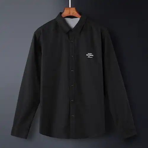 汤河之家2020春夏男装长袖牛津纺衬衫男士修身纯棉刺绣男式衬衣男新款a
