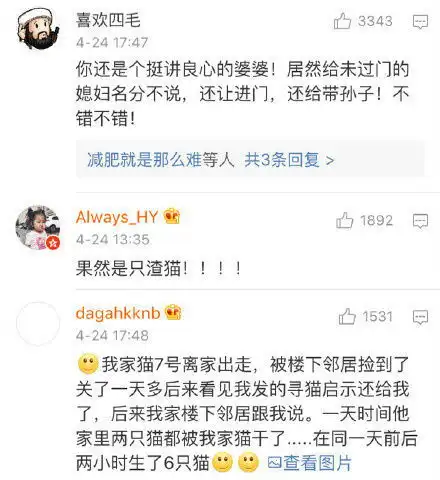 猫中渣男,绝对不可原谅
