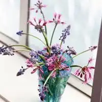 好看的微信头像图片大全瓶子里插花
