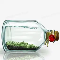 水瓶漂流瓶绿色植物png图片素材免费下载png格式13781378像素熊猫办公

