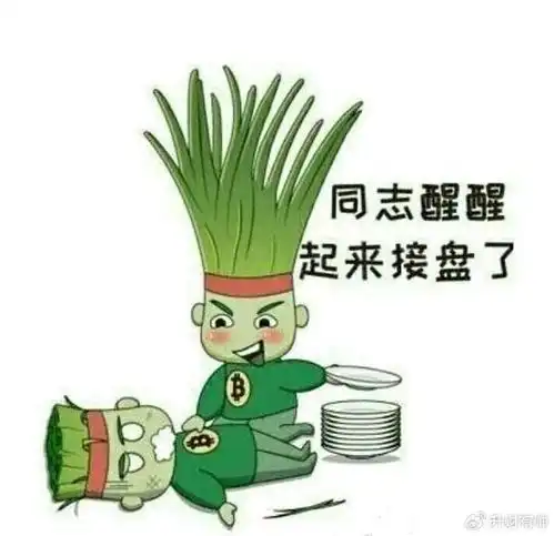 投资理财为了防止被割韭菜,投资者应该如何关注市场动态呢
