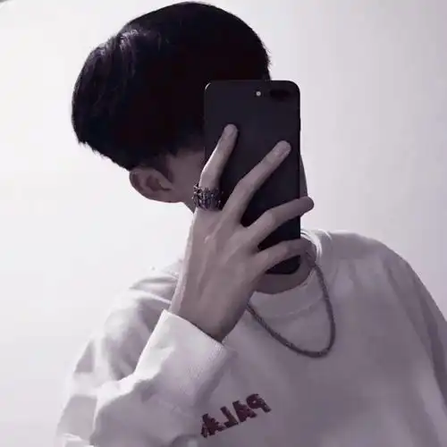 挡脸男
