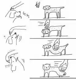狗子来自火星,猫咪来金星
