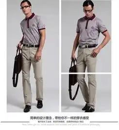 帝牌男装diking春夏新款男士衬衫领t恤男商务休闲衬衫612303
