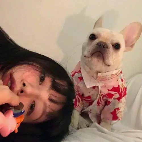 你见过什么古怪的头像
