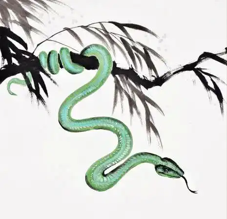 算命说,这3大生肖人,进入50岁势头猛进,财力无双生活
