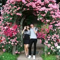 抱着孩子的情侣头像爱巢