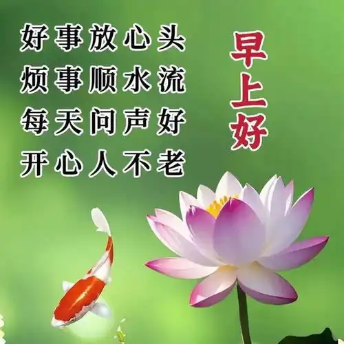 平安喜乐的早安祝福语发老朋友,致我最为在意的人,诸事皆好

