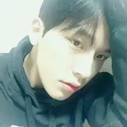 单身狗情歌
