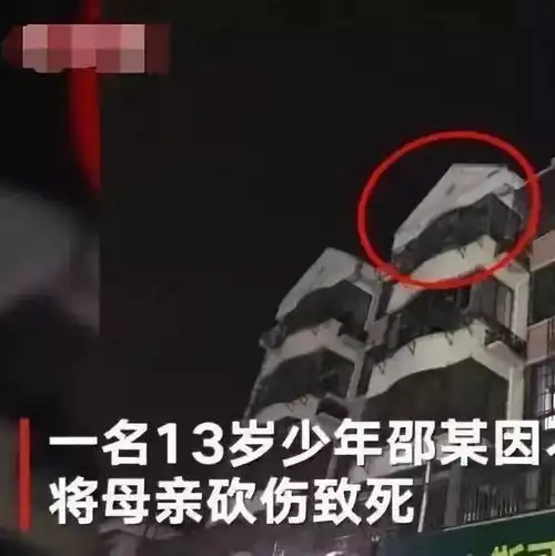 13岁少年弑母无法定刑12岁未成年人故意杀人,将负刑责
