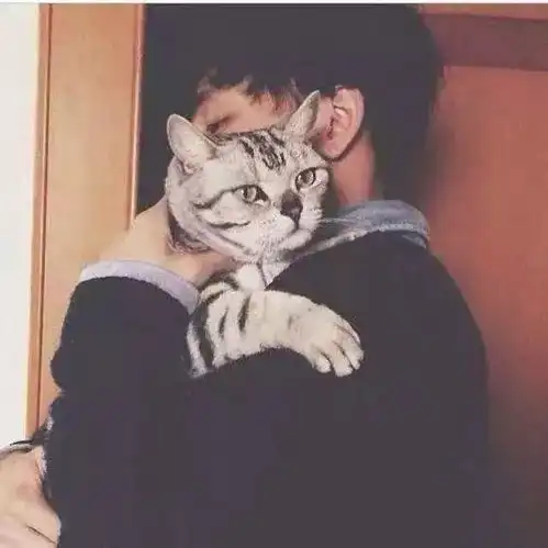 头像男抱猫猫耳