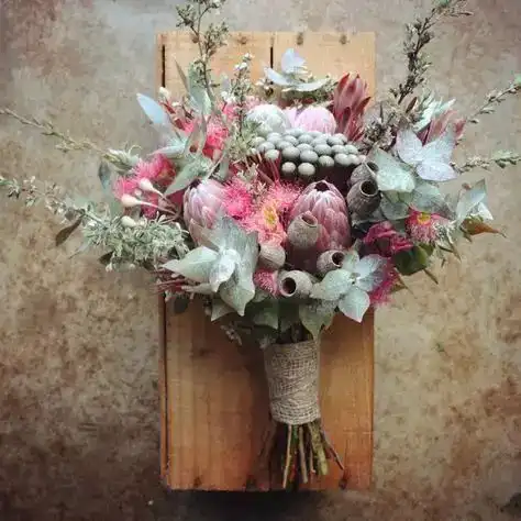 识花珊瑚果
