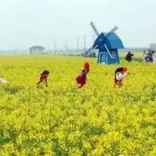 首页北京田园林场主营采摘旅游拓展会议

