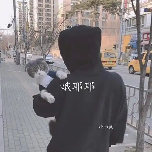 人生就是不公平的小奶瓶高音质在线试听人生就是不公平的歌词歌曲下载酷狗音乐
