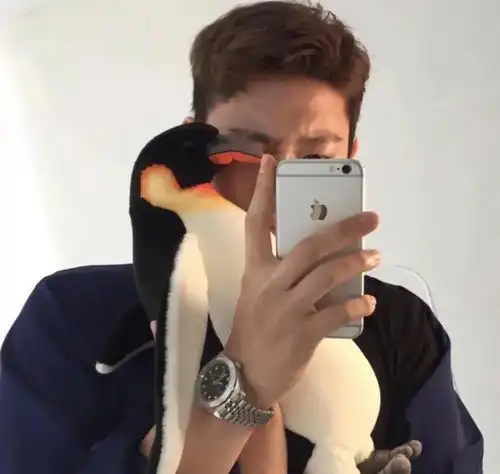 专属限定头像来喽
