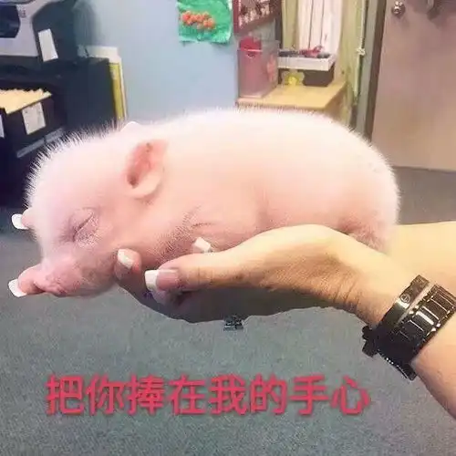 比起直男们送的奇葩礼物,闺密出手才是真有毒
