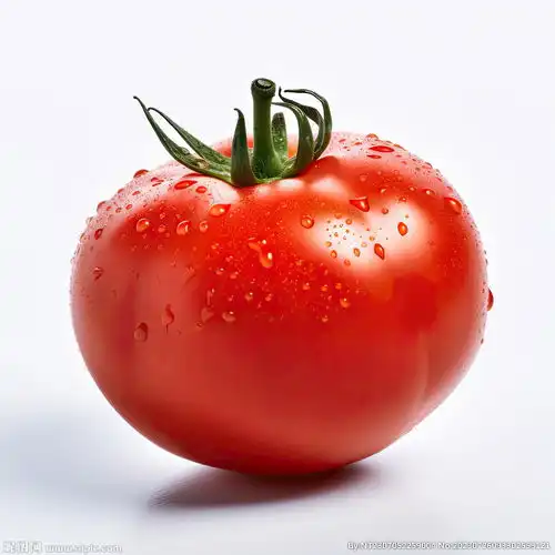 西红柿摄影图蔬菜
