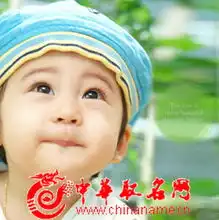 男宝宝起名常用字起名字库查询排行榜
