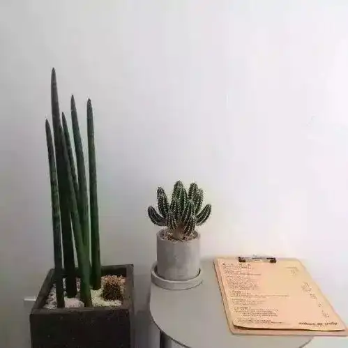 正能量,给你当头棒喝的十句话
