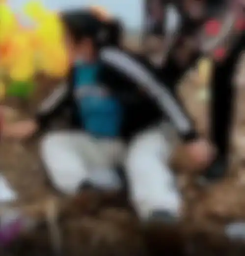 邯郸一男子在兄弟坟前埋炸药,仨侄女被炸亡,二审开庭,原因曝光
