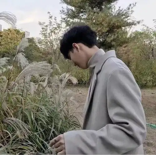 头像不思进取,思你鸡汤
