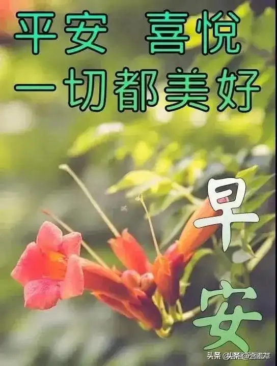 早安问候美图盼平安健康,祈好运伴随8月11日
