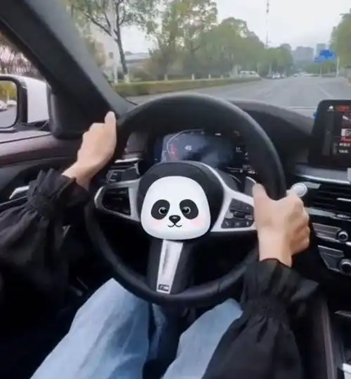 大衣哥儿媳陈萌晒豪车,夸赞自己贬低陈亚男,暗示朱小伟是潜力股
