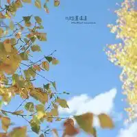 2次元风景动漫头像男生头像微信头像图片大全