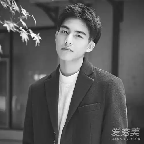 受欢迎程度远远高于受欢迎的男明星凤凰涅槃男主持人宋发式照片
