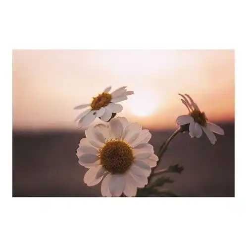 让人看了心疼的句子,句句戳心,让人顿生怜惜
