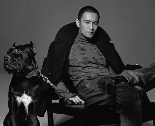 黄晓明夫妇境遇对比太尴尬,男的想拍戏无人理会,baby随便出镜都有狂热粉丝
