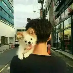 谁知道这个情侣头像男的有的加q五元红包买
