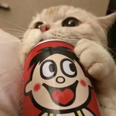 池乔爬爬可爱橘色猫猫情头自加情侣头像我要个性网
