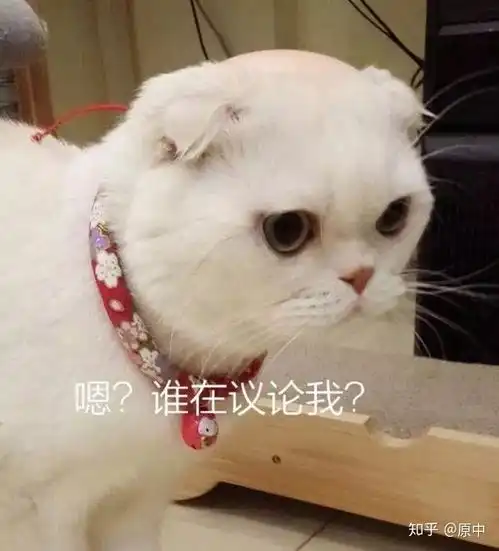 抖音上那些让人欲罢不能沙雕段子,原来是这么来的
