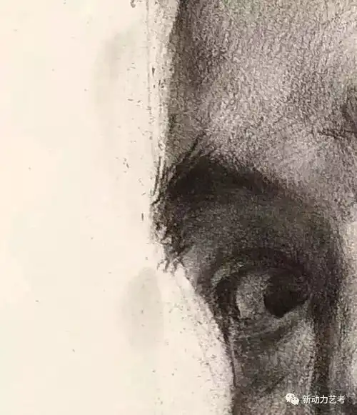 男中年素描头像步骤解析
