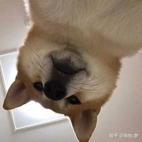 有没有中性一点的头像,男女用都不会觉得很别扭那种
