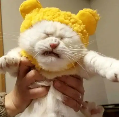 搞笑图片请问这三人是什么关系
