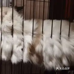 电话,地址,价格,营业时间贵阳美食
