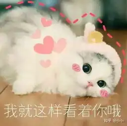 男朋友和他的父母吵架怎么办
