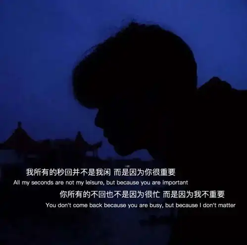 心酸意难平的小众文案

