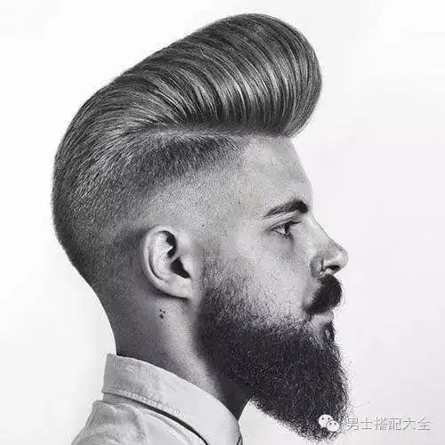 庞毕度发型特色
