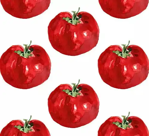 壁纸头像小清新简约番茄红白平铺
