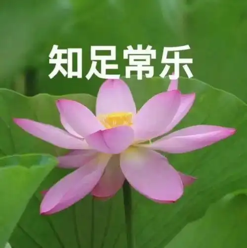 成熟稳重的头像
