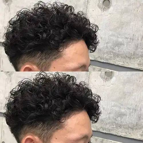 发型欣赏男生烫发泰迪烫
