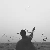 今天我说你听主播电台网易云音乐
